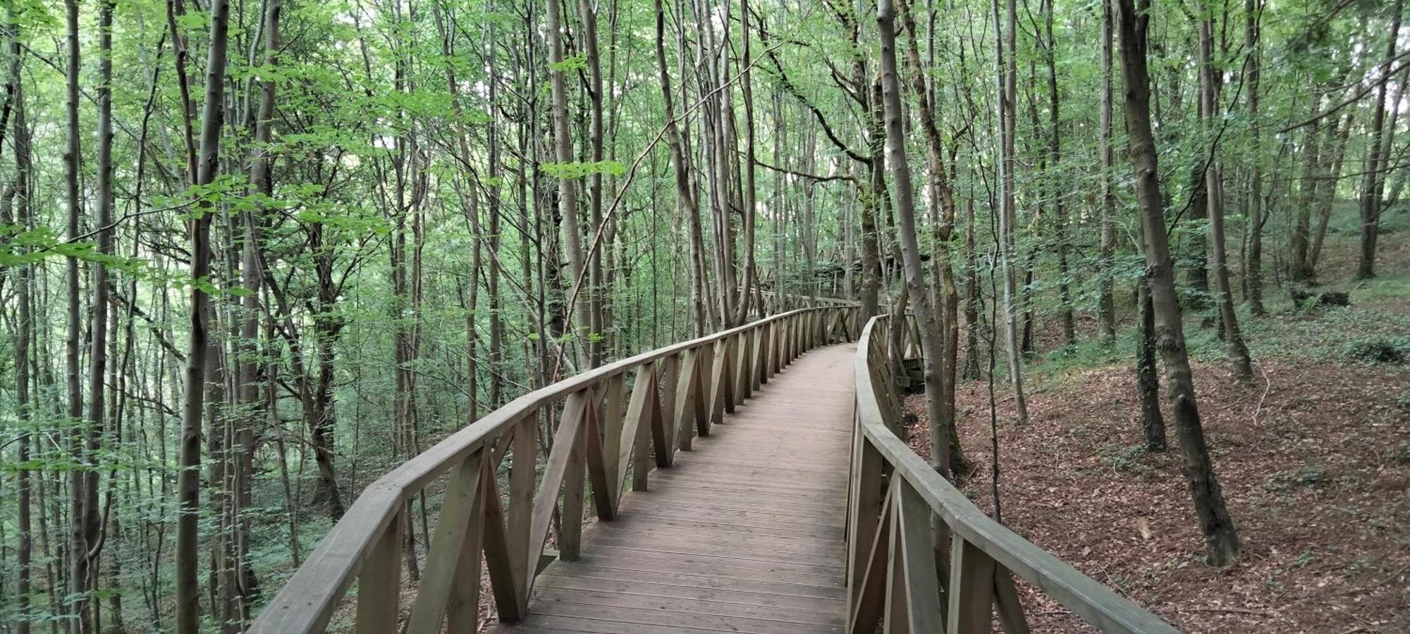 El Mirador Del Valle, A 9 Min De 柯米拉斯 外观 照片